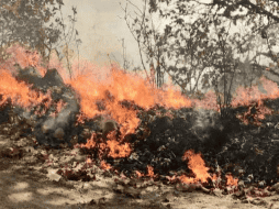 La alerta se mantendrá en vigor hasta que el incendio sea sofocado en su totalidad. ESPECIAL/Protección Civil JAL