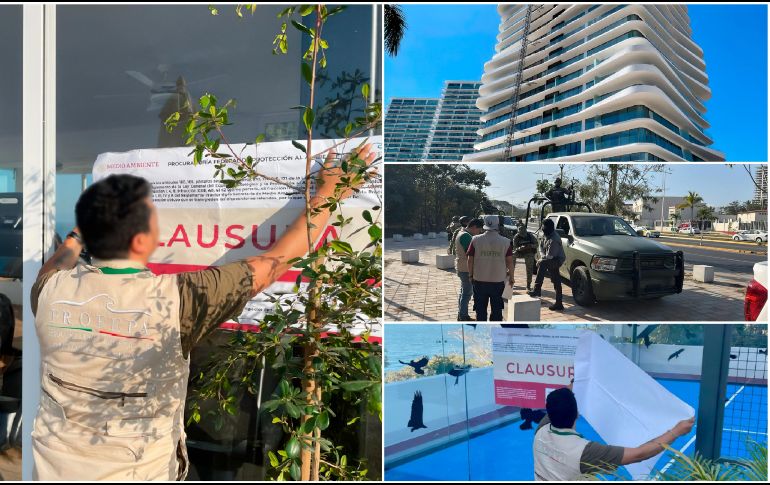 La Profepa clausuró tres desarrollos inmobiliarios en Puerto Vallarta. ESPECIAL / Gobierno de México