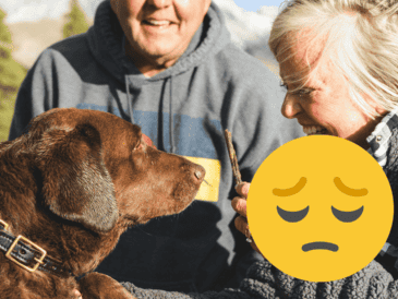 El tamaño de perros grandes influye en que vivan menos. UNSPLASH/ Chuwy