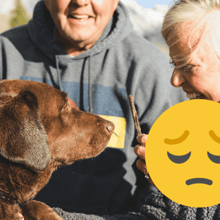 ¿Por qué las razas de perros grandes viven menos?