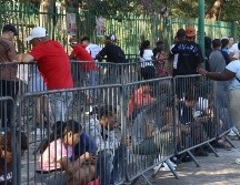 Extranjeros siguen haciendo filas a las afueras de las oficinas de esta institución para solicitar una cita. EFE/ J. Blanco