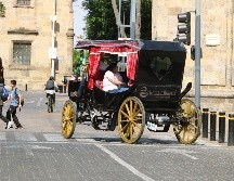 En el Centro Histórico de Guadalajara aún hay 39 carruajes que son jalados por los animales. EL INFORMADOR/ ARCHIVO.