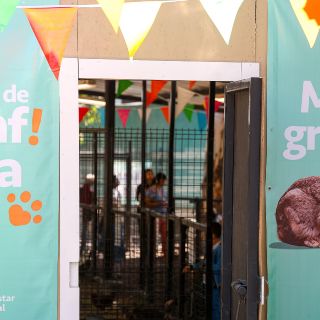 Inauguran Minigranja en el Centro de Integración Animal