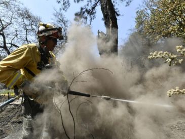 El siniestro se registró en la zona de El Roble - Puerta de Guadalupe, en los límites de Zapopan y El Arenal. CORTESÍA / PC y Bomberos de Jalisco