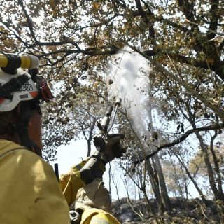 Desactiva Semadet alerta atmosférica por incendio en el Bosque La Primavera