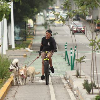 Proponen 14 nuevas ciclovías para Guadalajara