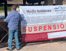 La Profepa suspende espectáculos con delfines en Riviera Maya. SUN/ ESPECIAL