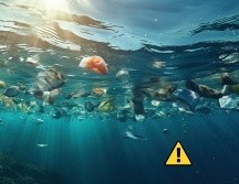 Los desechos del fondo de la fosa de Calipso provienen de diversas fuentes, tanto terrestres como marinas. Freepik y Canva