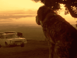 Muchas de las exitosas novelas de King han sido adaptadas a la gran pantalla tras el éxito cosechado en las ventas de sus libros. CORTESÍA