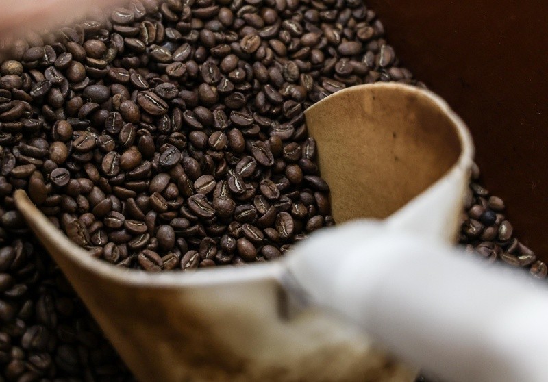 &nbsp;Desde enero, el precio del café va al alza. EL INFORMADOR/A. NAVARRO