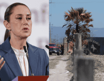 El predio fue descubierto en septiembre pasado por la Guardia Nacional, pero no se dio seguimiento hasta la intervención del colectivo Guerreros Buscadores de Jalisco. EFE/I. ESQUIVEL AP/A. MOYA