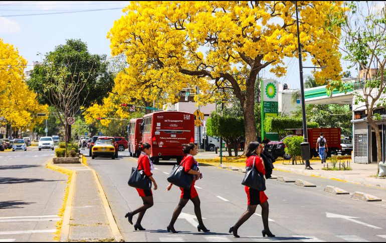 Durante la primavera se quedan atrás las bajas temperaturas propias del invierno, y comienza a sentirse más calidez en el ambiente, lo que propicia el crecimiento y desarrollo de la vegetación. EL INFORMADOR / ARCHIVO