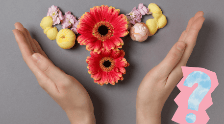 Implementar estos remedios en una rutina saludable puede contribuir al equilibrio hormonal. ESPECIAL / CANVA / atlasstudio