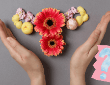 Implementar estos remedios en una rutina saludable puede contribuir al equilibrio hormonal. ESPECIAL / CANVA / atlasstudio