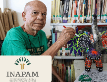 El trámite para obtener o renovar la tarjeta es completamente gratuito y la entrega se realiza de manera inmediata. EL INFORMADOR / ARCHIVO