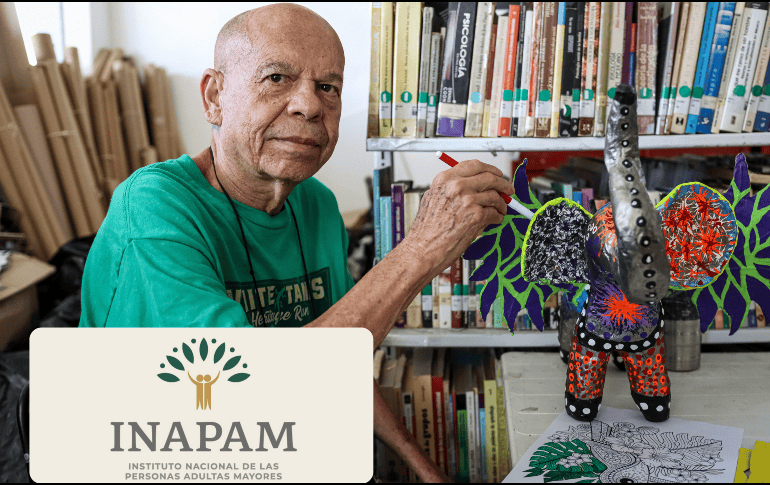 El trámite para obtener o renovar la tarjeta es completamente gratuito y la entrega se realiza de manera inmediata. EL INFORMADOR / ARCHIVO