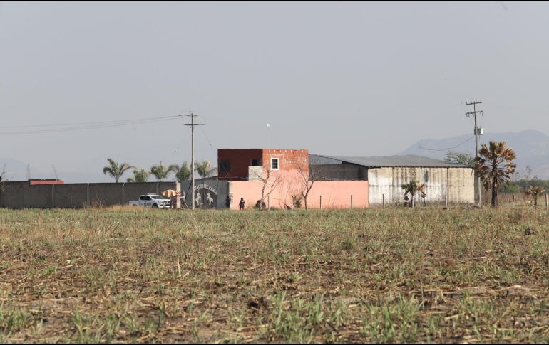 Edith Olivares Ferreto, directora Ejecutiva de Amnistía Internacional, sección mexicana, instó a las autoridades mexicanas a esclarecer los hechos de manera pronta. CORTESÍA.