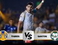 Tigres llega con una victoria conseguida en la J11 ante Querétaro. IMAGO7