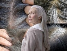 Aunque la razón principal es el envejecimiento, otros factores como el estrés, la genética y deficiencias nutricionales favorecer a que de repente aparezcan canas. ESPECIAL / CANVA