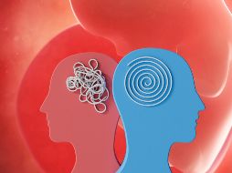 El descubrimiento de que el riesgo genético puede deberse a la metilación del ADN de la placenta abre nuevos caminos para la prevención y el tratamiento de trastornos psiquiátricos. ESPECIAL / CANVA