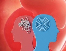 El descubrimiento de que el riesgo genético puede deberse a la metilación del ADN de la placenta abre nuevos caminos para la prevención y el tratamiento de trastornos psiquiátricos. ESPECIAL / CANVA