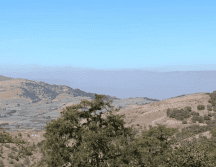 La alerta se mantendrá activa hasta que el incendio se apague en su totalidad. ESPECIAL