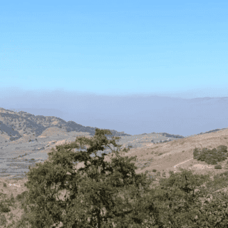 Activan nueva alerta atmosférica por incendio forestal en Magdalena