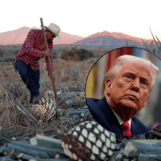 Industria del tequila define estrategias para afrontar aranceles de Trump