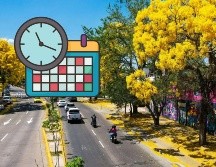 El inicio de la primavera es una de las fechas más esperadas por quienes anhelan el clima cálido. EL INFORMADOR/ ARCHIVO.
