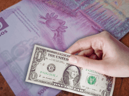 No hay cotización oficial en México del dólar contra el peso mexicano por ser un día de asueto. EL INFORMADOR / O. Álvarez