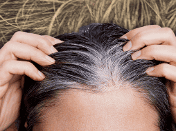 Aunque las canas son producidas por el mismo fenómeno natural, no todas tienen su color blanco característico. EL INFORMADOR / O. Álvarez