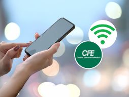 En 2024 la Secretaría de Bienestar lanzó el programa 