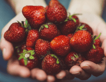 Diariamente es importante consumir cinco frutas al día, ya que contienen vitaminas y minerales. PIXABAY / CANVA