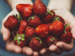 Diariamente es importante consumir cinco frutas al día, ya que contienen vitaminas y minerales. PIXABAY / CANVA