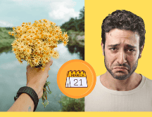 Si bien la tradición ha estado enfocada en las mujeres, quizás es hora de cambiar la narrativa y hacer que todos puedan recibir flores amarillas como un gesto de cariño y alegría. CANVA