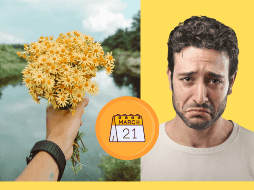 Si bien la tradición ha estado enfocada en las mujeres, quizás es hora de cambiar la narrativa y hacer que todos puedan recibir flores amarillas como un gesto de cariño y alegría. CANVA