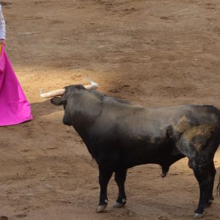 Aprueban corridas sin violencia en la CDMX