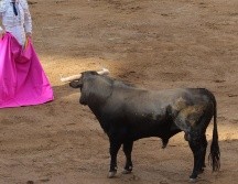 Fue aprobado un dictamen para que las corridas de toros en la CDMX sean sin violencia. EL INFORMADOR / ARCHIVO