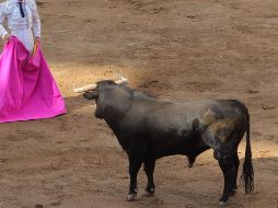 Fue aprobado un dictamen para que las corridas de toros en la CDMX sean sin violencia. EL INFORMADOR / ARCHIVO