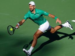 Novak Djokovic es el líder de la Asociación de Jugadores Profesionales del Tenis (PTPA). EFE / ARCHIVO