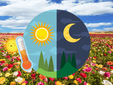 En México, el equinoccio de primavera es una fecha de gran relevancia cultural y turística. Miles de personas acuden a zonas arqueológicas como Teotihuacán, Chichén Itzá y Monte Albán para recibir la primavera, participar en rituales ancestrales y cargarse de energía. CANVA