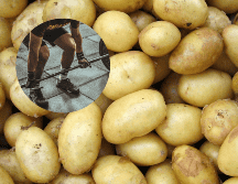 Papas: Un alimento popular en los regímenes alimenticios. UNSPLASH / H. NGUYEN / V. FREITAS