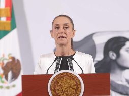 La Mandataria detalló algunas de las fallas detectadas. SUN/G. PANO