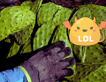 En personas con colesterol elevado, el consumo de nopal ayuda a eliminarlo. AFP / ARCHIVO