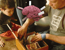 Los científicos no saben exactamente qué causa el Alzheimer, una enfermedad que destruye la mente y afecta a casi 7 millones de estadounidenses, principalmente en la vejez. AP / ARCHIVO