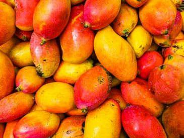 El mango es una de las frutas más populares esta temporada. UNSPLASH / A. SCHIMMECK