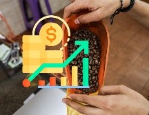 Esta es una de las razones por la que el precio del café se ha incrementado a nivel mundial. EL INFORMADOR / ARCHIVO