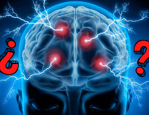 La neurociencia moderna ha demostrado de manera concluyente que la creencia de que sólo usamos el 10% de nuestro cerebro, es un mito. CANVA