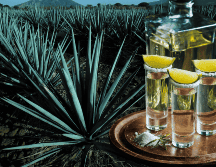 Los campos de agave azul, materia prima del tequila, han sido considerados por la Unesco desde 2006, como patrimonio intangible de la humanidad. AFP / ARCHIVO