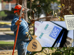 Todos los trabajadores que laboran al servicio de un patrón tienen derecho a recibir el reparto de utilidades, aunque en algunos casos no aplica. EL INFORMADOR/ARCHIVO ESPECIAL